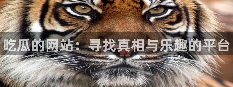 吃瓜www