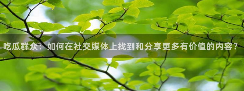 长生武道:从九龙夺嫡开始吃瓜：吃瓜群众：如何在社交媒体上找到和分享更多有价值的内容？