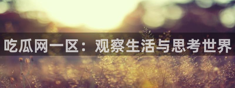 吃瓜小说