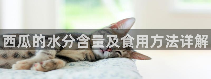番茄和茄瓜能一起吃吗：西瓜的水分含量及食用方法详解