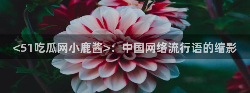 91吃瓜网今日吃瓜入口:<51吃瓜网小鹿酱>:中国网络流行语的缩影