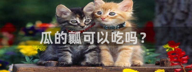 吃了坏瓜怎么办：瓜的瓤可以吃吗？