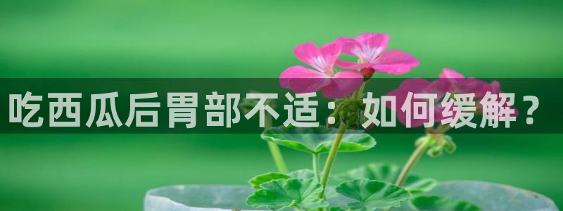 今日黑料：吃西瓜后胃部不适：如何缓解？