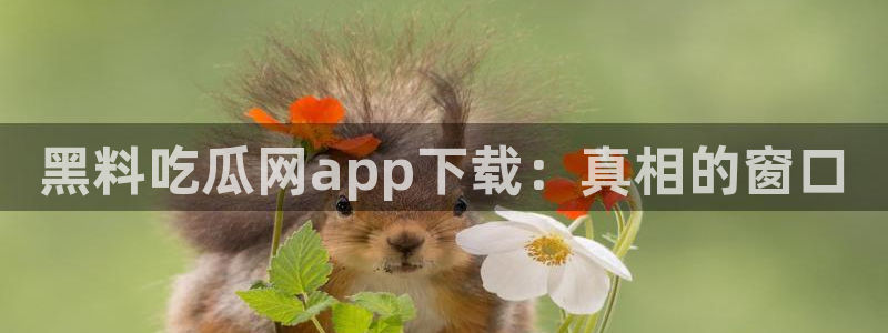 51吃瓜热门吃瓜：黑料吃瓜网app下载：真相的窗口