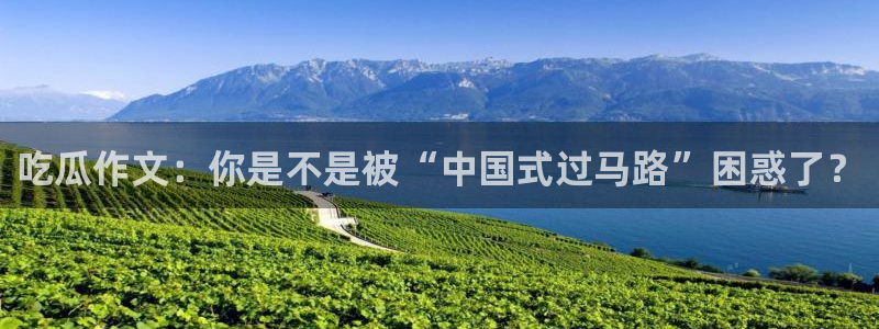 51吃瓜今日吃瓜必吃莫里秀：吃瓜作文：你是不是被“中国式过马路”困惑了？