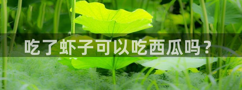 各种网红爆料吃瓜：吃了虾子可以吃西瓜吗？