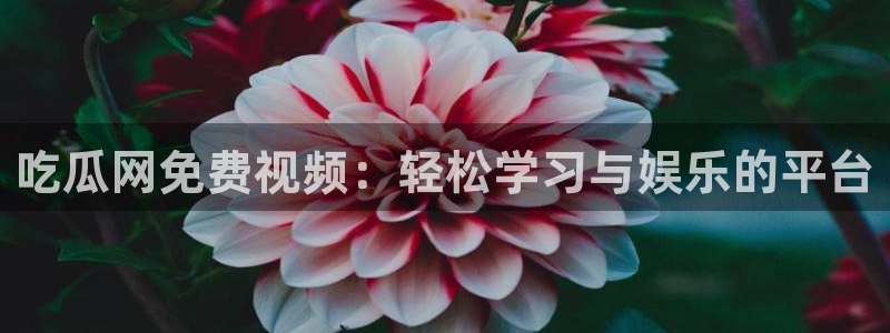 718.sⅹ 吃瓜：吃瓜网免费视频：轻松学习与娱乐的平台