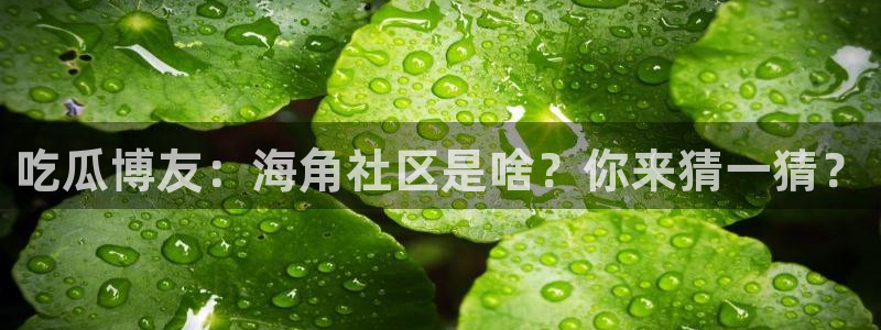 cg吃瓜群众最新版网址：吃瓜博友：海角社区是啥？你来猜一猜？