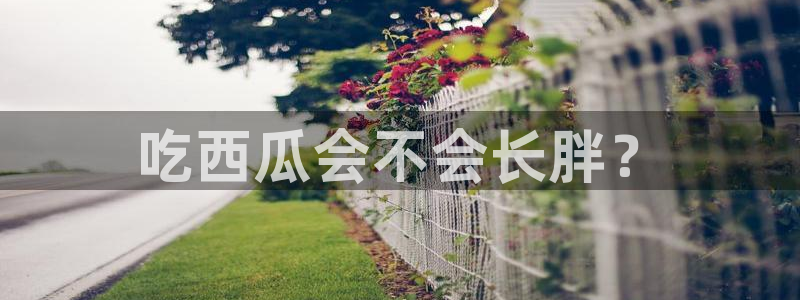 吃瓜喉咙痒怎么办：吃西瓜会不会长胖？