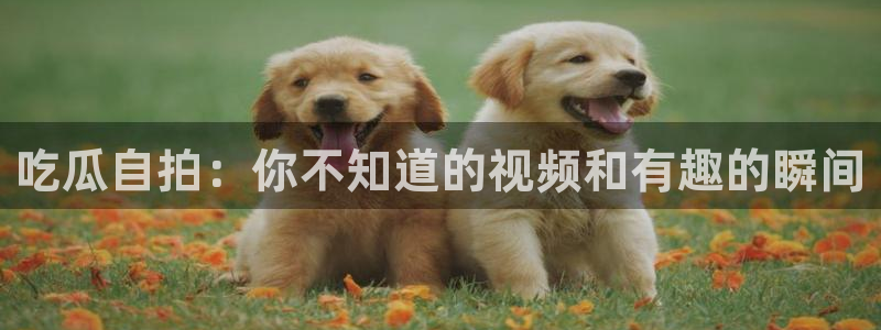 911爆料网红吃瓜：吃瓜自拍：你不知道的视频和有趣的瞬间