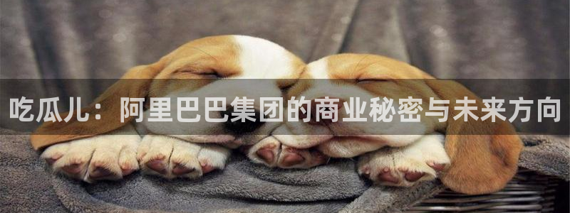 高血糖可以吃籽瓜吗：吃瓜儿：阿里巴巴集团的商业秘密与未来方向