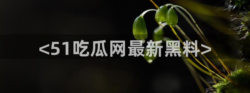 51吃瓜最新吃瓜入口：<51吃瓜网最新黑料>