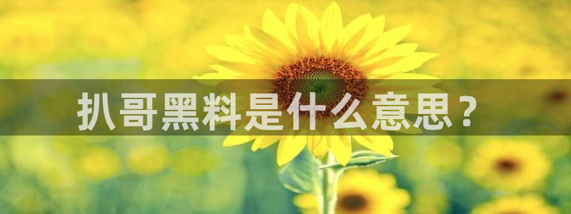 91吃瓜网今日吃瓜入口：扒哥黑料是什么意思？