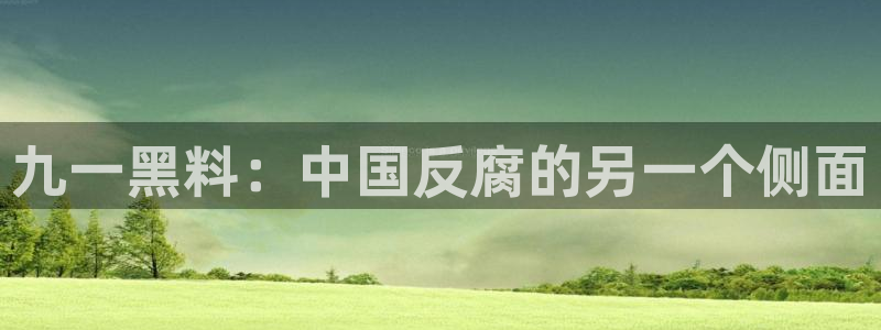 51cg热门大瓜今日吃瓜：九一黑料：中国反腐的另一个侧面