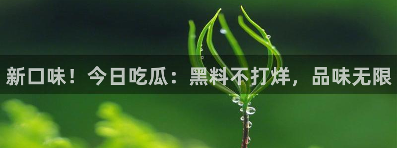 51吃瓜网每日榜单今日：新口味！今日吃瓜：黑料不打烊，品味无限