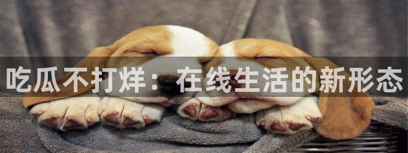 吃瓜电影