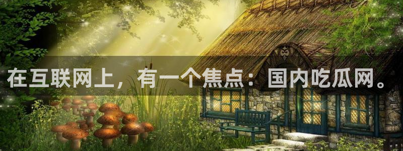 长生武道:从九龙夺嫡开始吃瓜：在互联网上，有一个焦点：国内吃瓜网。