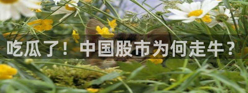 51吃瓜最新官网是多少：吃瓜了！中国股市为何走牛？