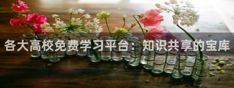吃瓜最新：各大高校免费学习平台：知识共享的宝库