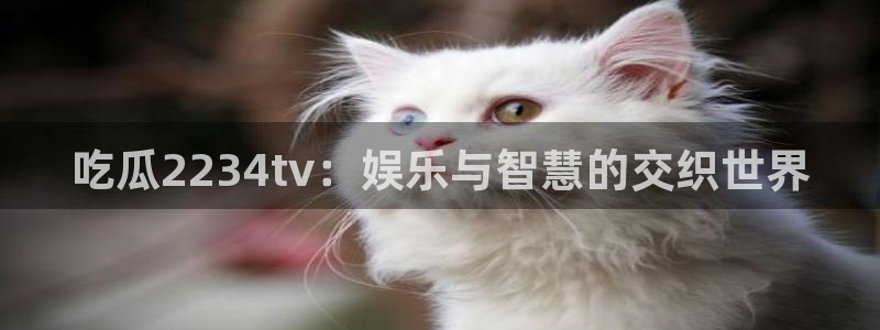 高血糖可以吃贝贝瓜吗：吃瓜2234tv：娱乐与智慧的交织世界