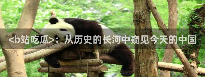 51吃瓜热心张津瑜：<b站吃瓜>：从历史的长河中窥见今天的中国