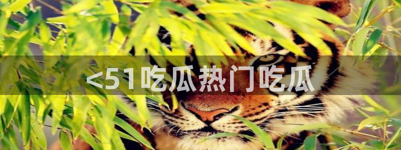 吃瓜是什么意思?