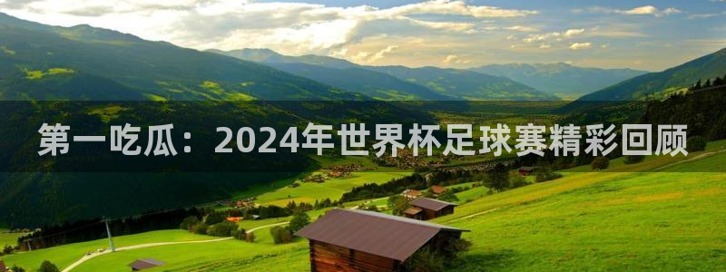 黑料黑料：第一吃瓜：2024年世界杯足球赛精彩回顾