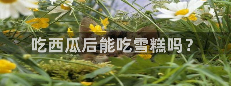 51吃瓜今日热门大瓜：吃西瓜后能吃雪糕吗？